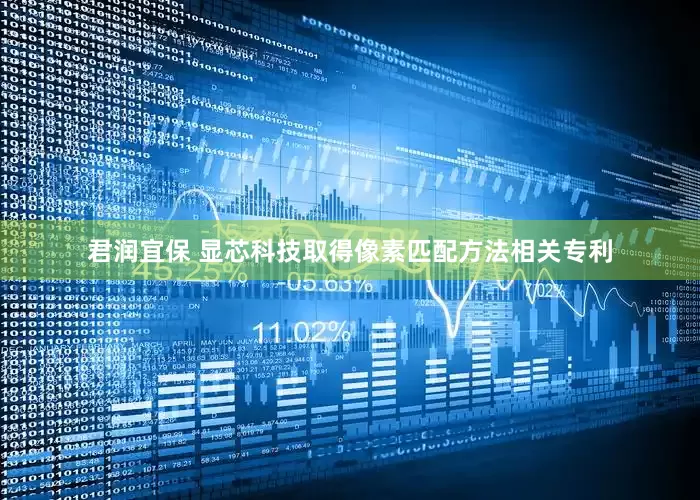 君润宜保 显芯科技取得像素匹配方法相关专利