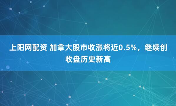 上阳网配资 加拿大股市收涨将近0.5%，继续创收盘历史新高